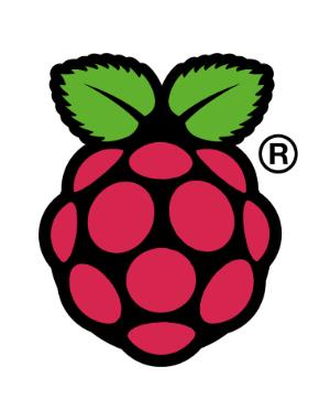 Raspberry Pi Logo